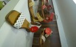 DSC00259